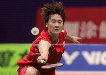 What Solutions Do Experts Propose for Addressing Income Inequality in the Sports Industry?