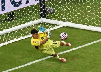 What Makes Brazilian Goalkeepers the New Market Inefficiency?